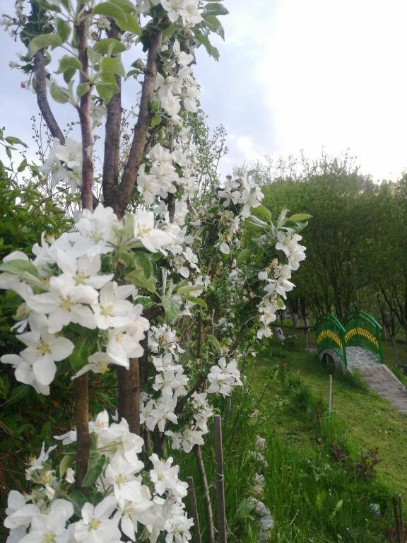 Holiday Home Pharaoh Visoko Buitenkant foto