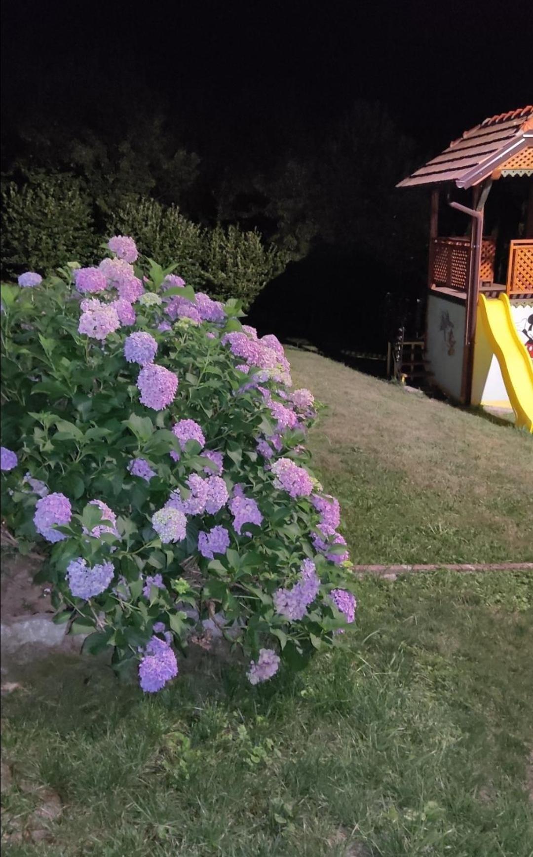 Holiday Home Pharaoh Visoko Buitenkant foto