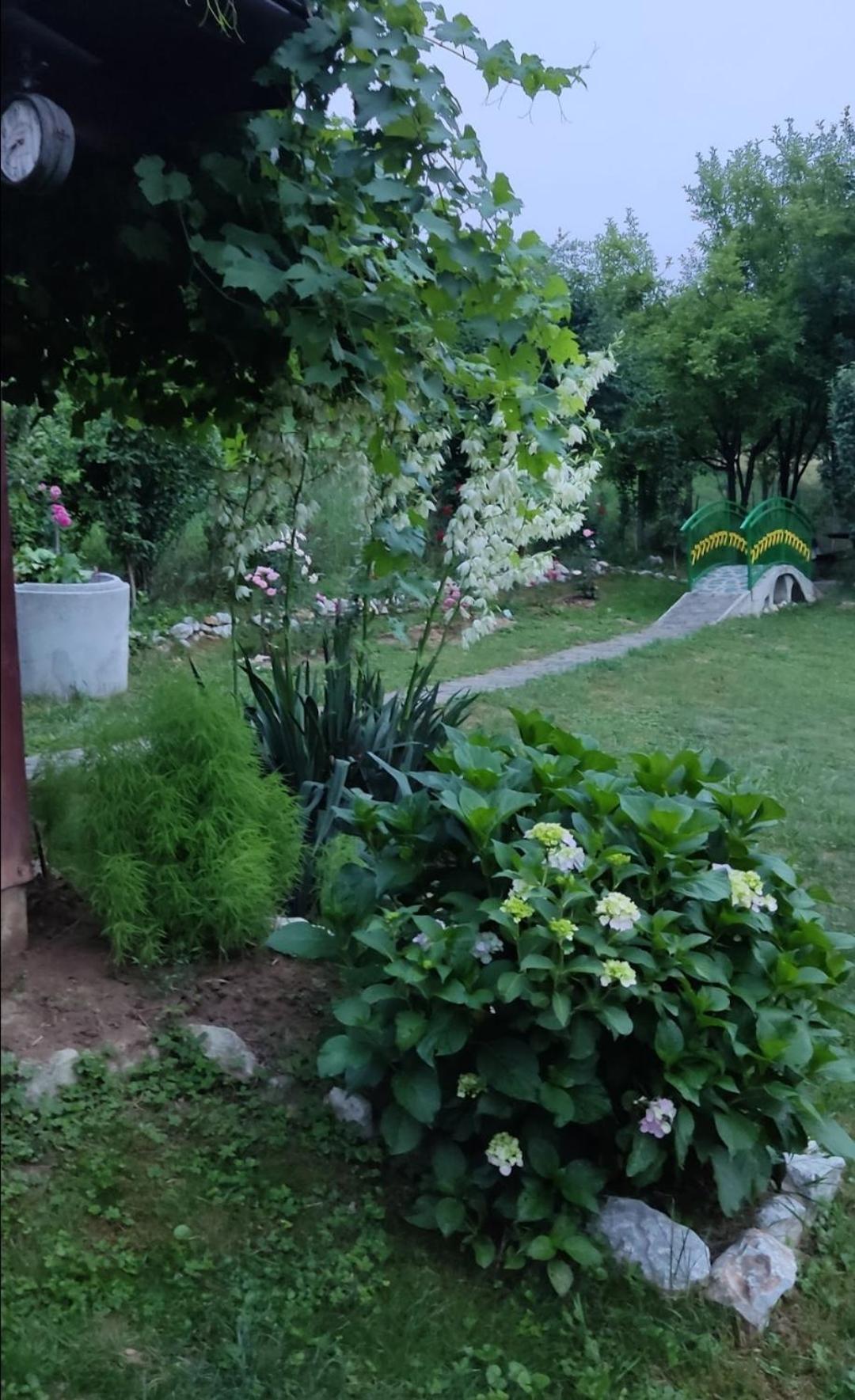 Holiday Home Pharaoh Visoko Buitenkant foto